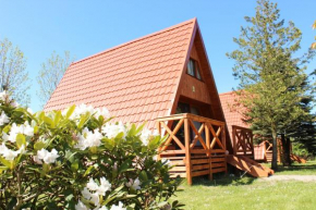 Ośrodek Wypoczynkowy Camping nr 156